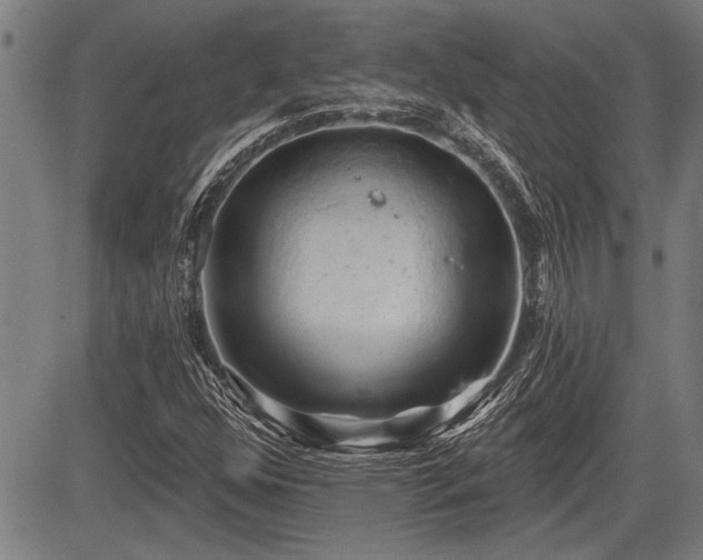 X0000083611352200702201239