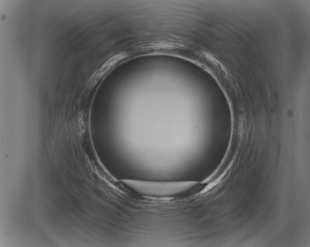 X0000083611353200702201239