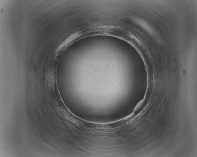 X0000083611354200702201239