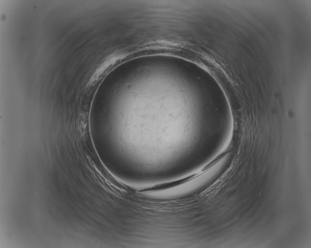 X0000083611355200702201239