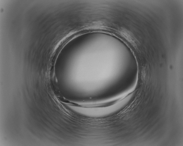 X0000083611356200702201238