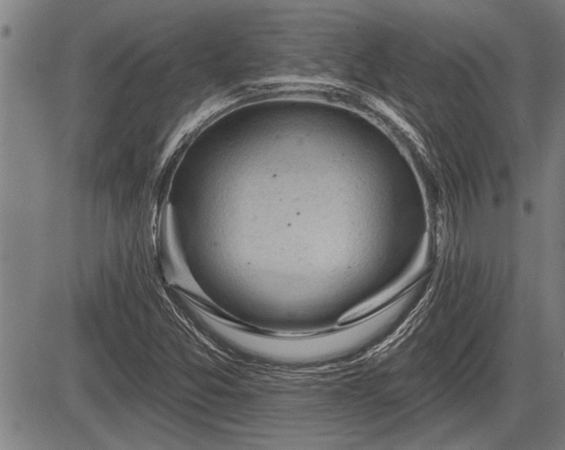 X0000083611357200702201238