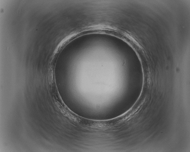 X0000083611358200702201238