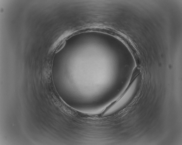 X0000083611359200702201238