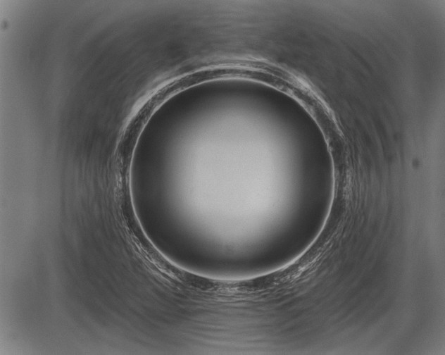 X0000083611360200702201238