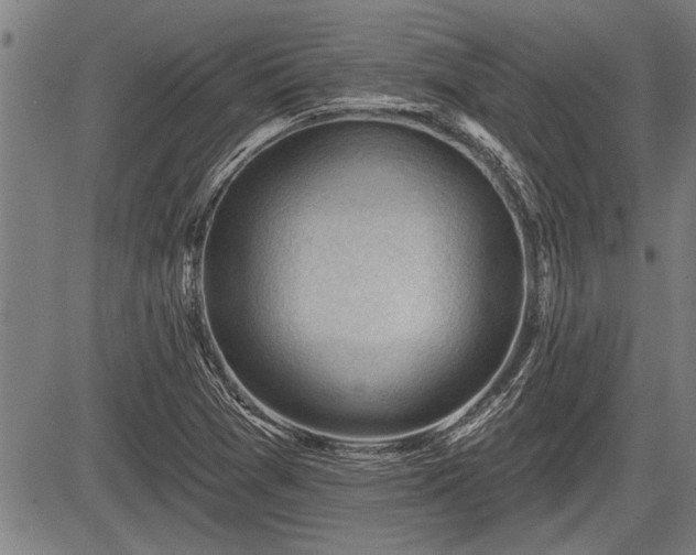 X0000083611361200702201238