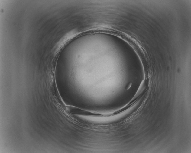 X0000083611363200702201238