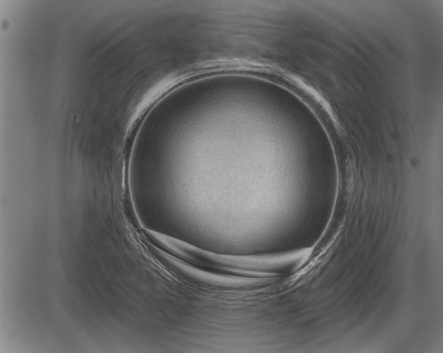 X0000083611365200702201238