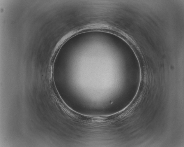 X0000083611366200702201238