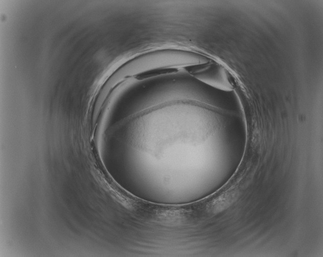 X0000083611367200702201238