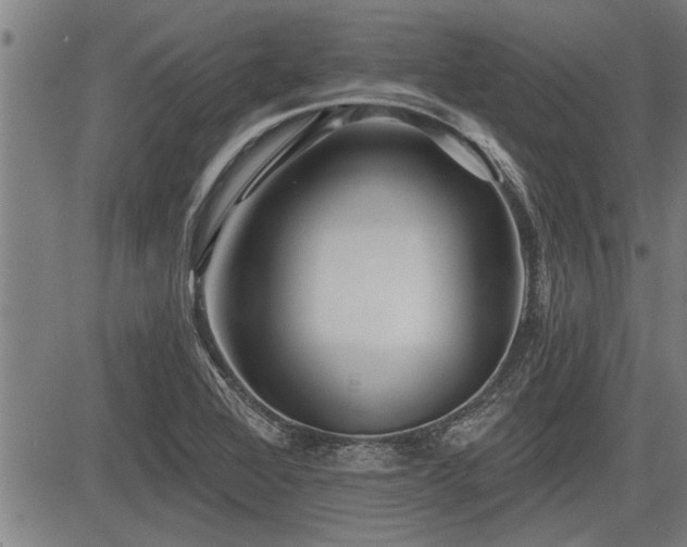 X0000083611368200702201238