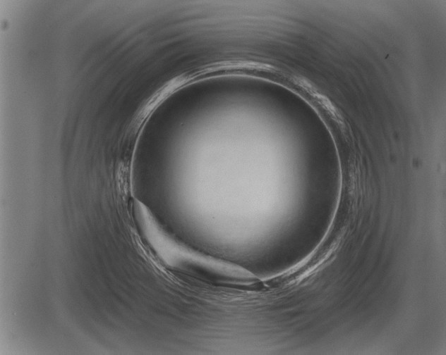 X0000083611369200702201238