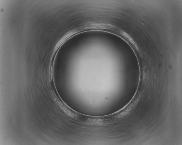 X0000083611370200702201238