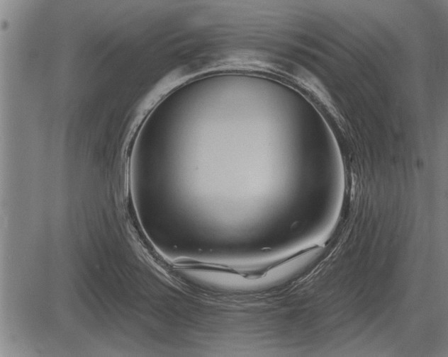 X0000083611371200702201238