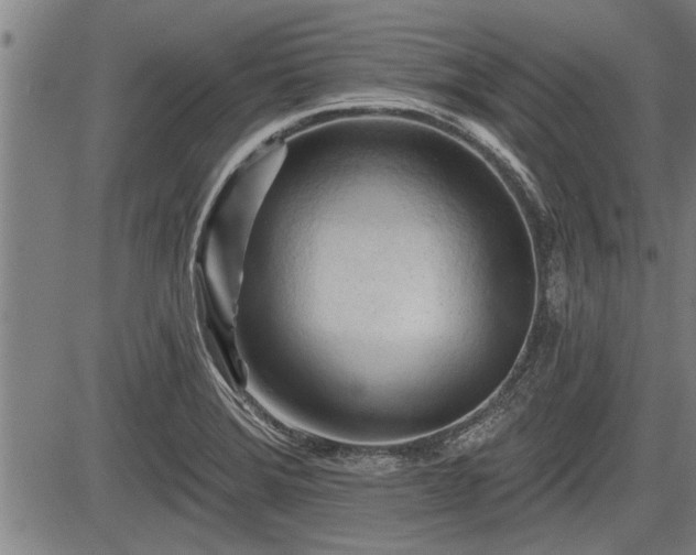 X0000083611372200702201238