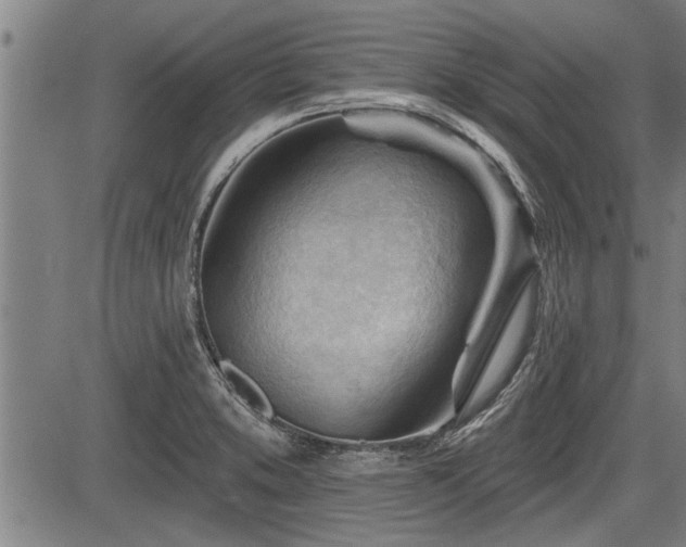 X0000083611373200702201238