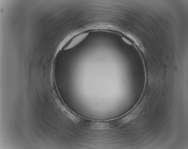 X0000083611374200702201238