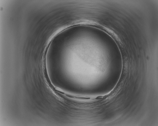 X0000083611375200702201238