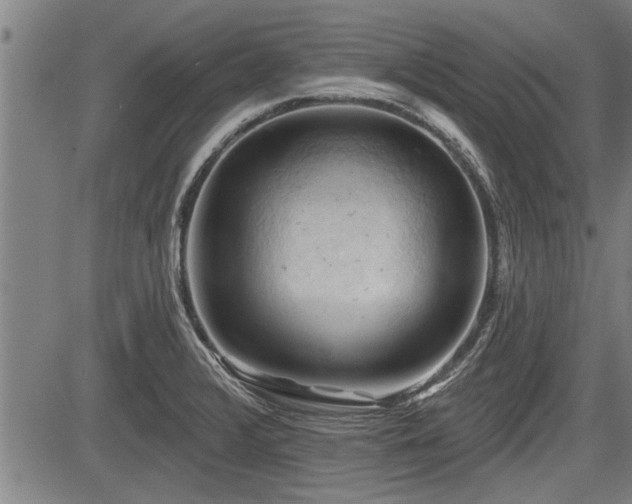 X0000083611376200702201238