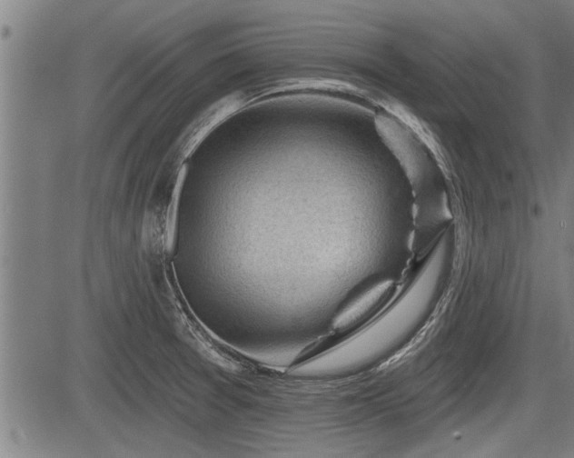 X0000083611377200702201238