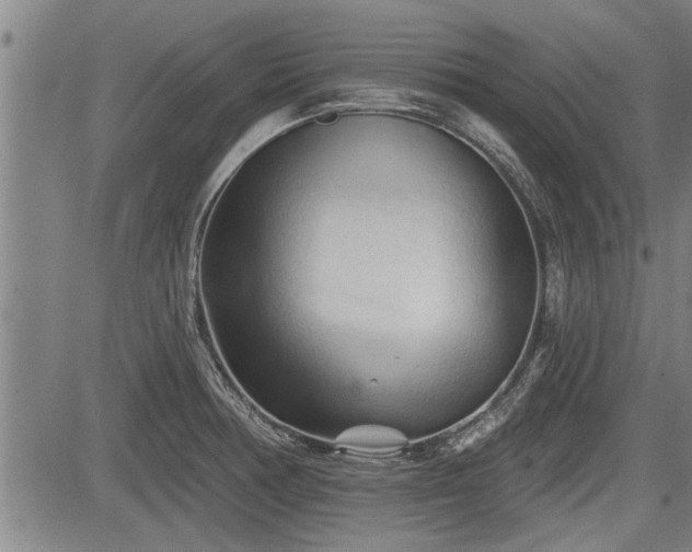 X0000083611378200702201238