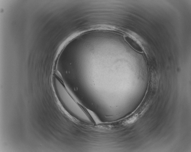 X0000083611379200702201238