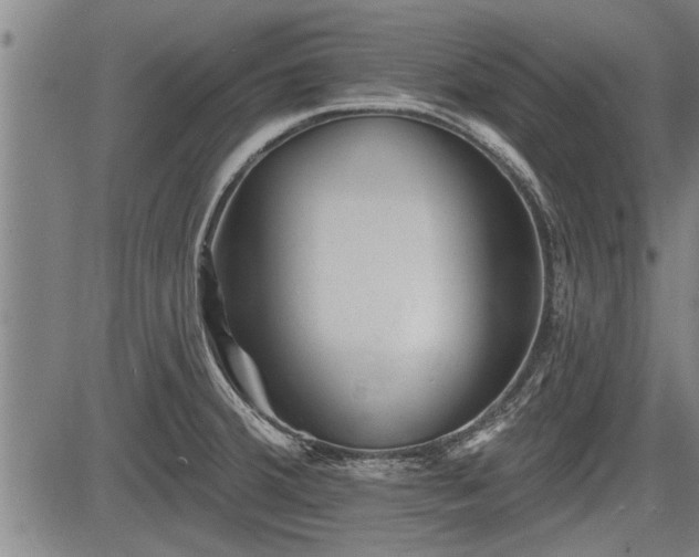 X0000083611380200702201238