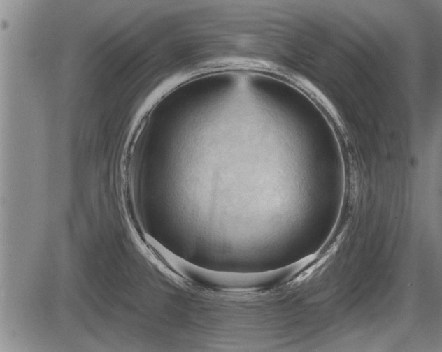 X0000083611381200702201238