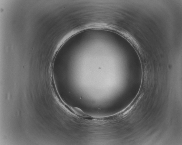 X0000083611382200702201238