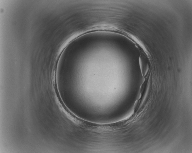 X0000083611383200702201238