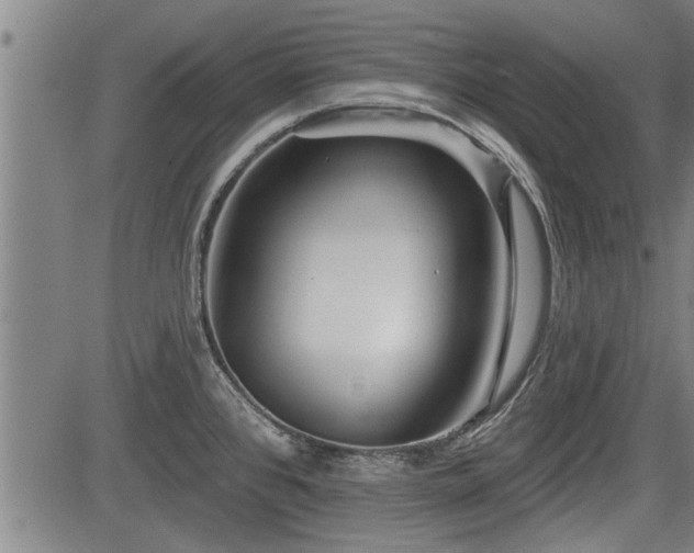 X0000083611384200702201238