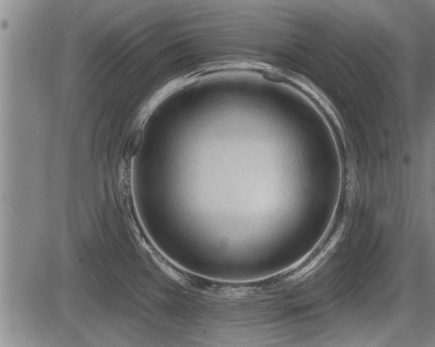 X0000083611385200702201238