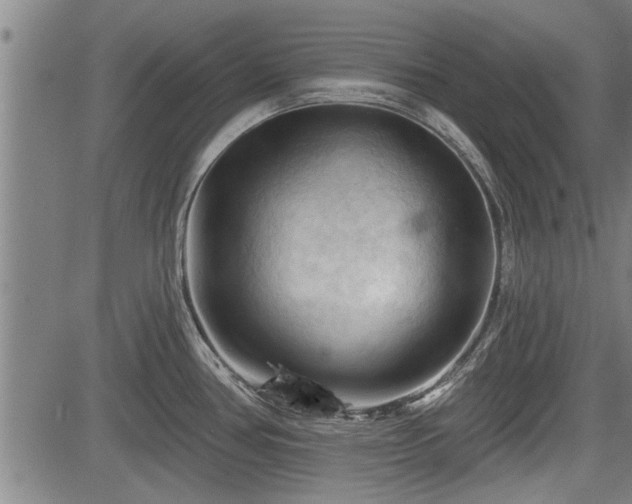 X0000083611386200702201238