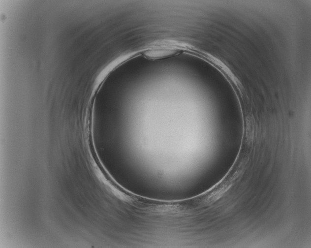 X0000083611387200702201238