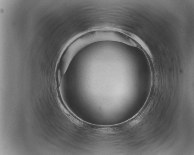 X0000083611388200702201238