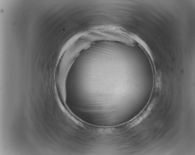 X0000083611389200702201238