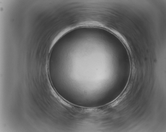 X0000083611390200702201238