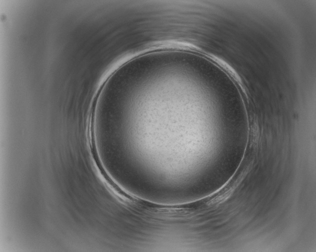 X0000083611391200702201238