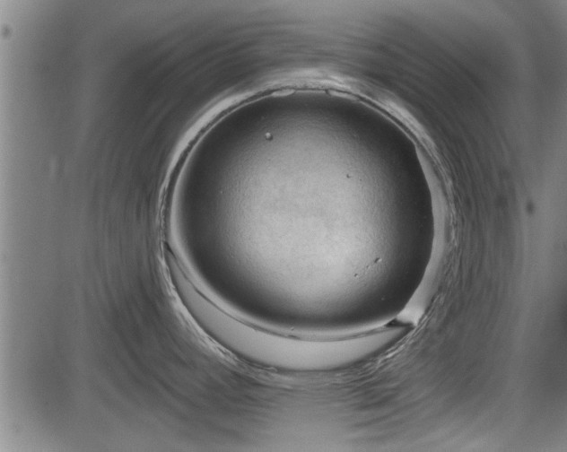 X0000083611392200702201238