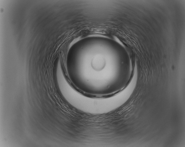 X0000083611393200702201237