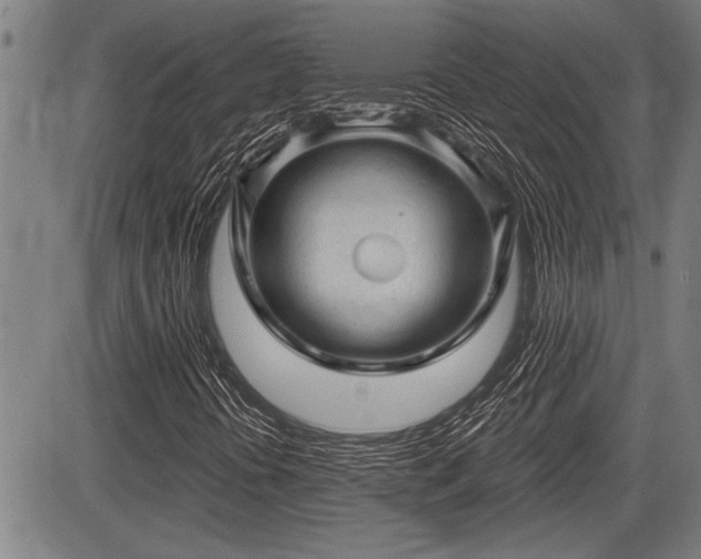 X0000083611394200702201237