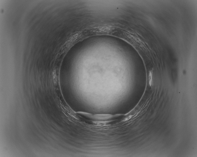 X0000083611395200702201237