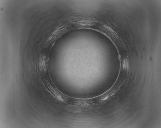 X0000083611396200702201237