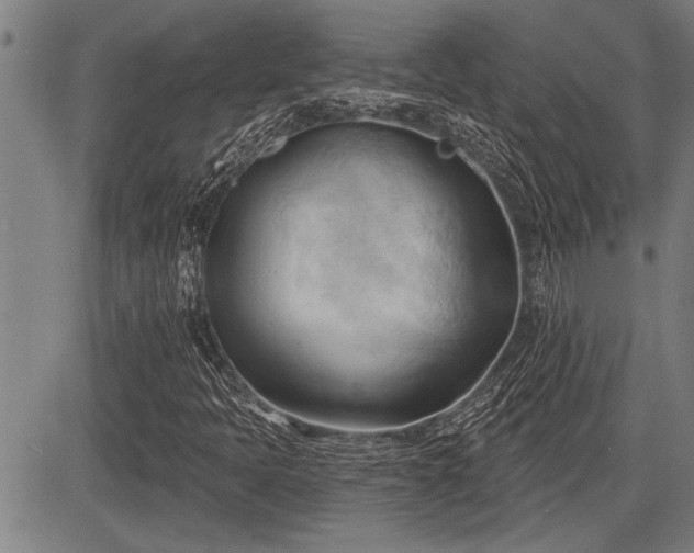 X0000083611397200702201237