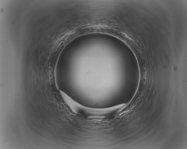 X0000083611398200702201237