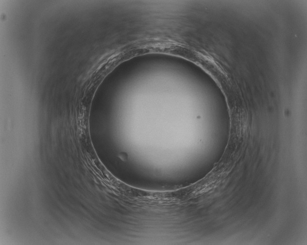 X0000083611399200702201237