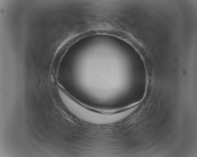 X0000083611400200702201237