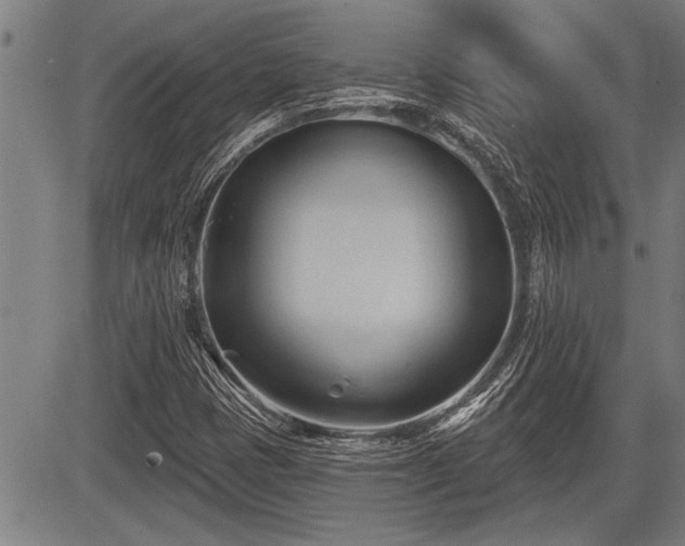 X0000083611401200702201237