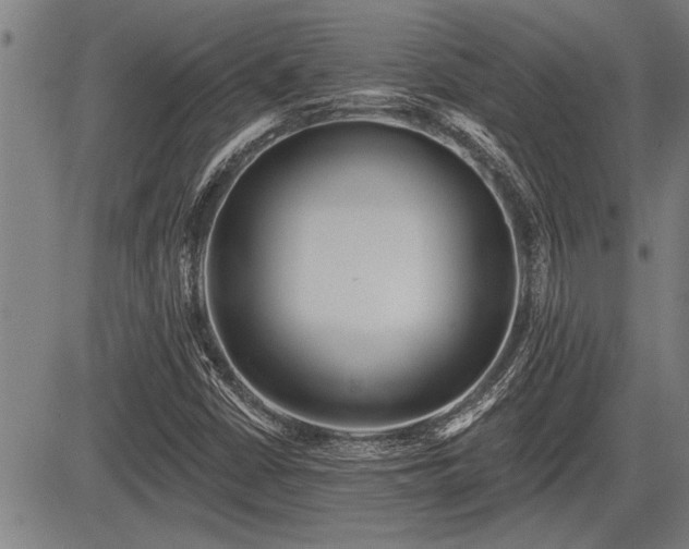 X0000083611402200702201237