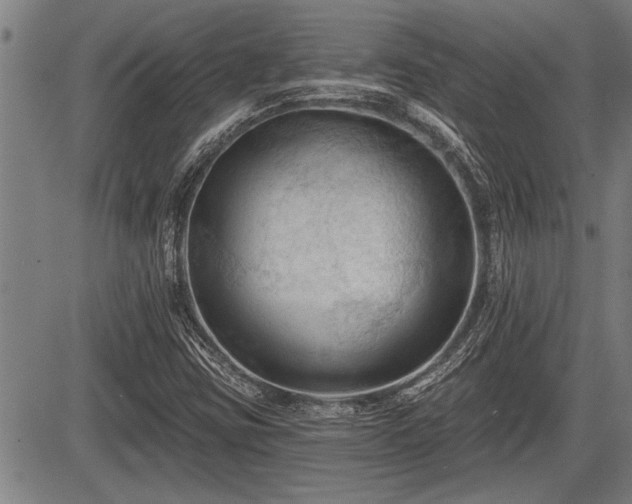 X0000083611403200702201237